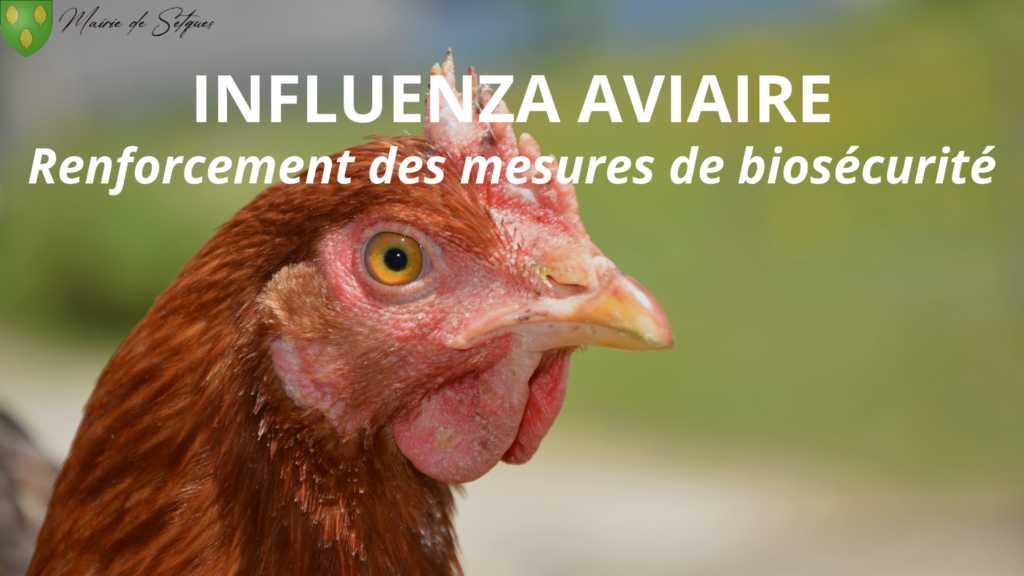 RENFORCEMENT DES MESURES DE BIOSECURITE – INFLUENZA AVIAIRE